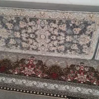 پشتی رنگ فیلی