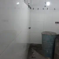 کاشیکار