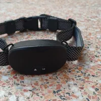 قلاده ضد واق|لوازم جانبی حیوانات|تهران, مختاری|دیوار