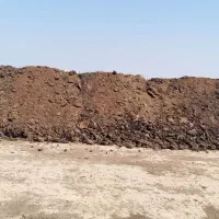 کود گاوی خشک و پوسیده