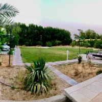فروش-زمین-500-متری-باغی-مجنون-چاه-سالم
