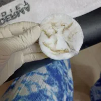 پا.کساز.ی عمقی وتخصصی فقط ۴۰۰|آرایشی، بهداشتی، درمانی|سنندج, |دیوار