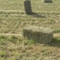یونجه پرس