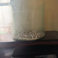 اکواریوم شیشه خم شرکتی