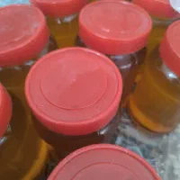 پخش عسل طبیعی تربت