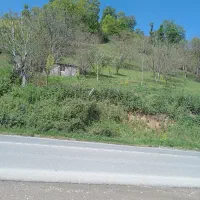 زمین باغ مسا حت 2500 متر|فروش زمین و ملک کلنگی|کیاسر, |دیوار