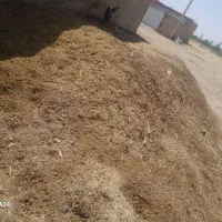 کود گوسفندی پشگل|لوازم جانبی حیوانات|نورآباد, |دیوار