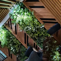 اجاره ملک تجاری|اجارهٔ مغازه و غرفه|شهرضا, |دیوار