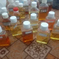 عطر گرمی عمده|آرایشی، بهداشتی، درمانی|فنوج, |دیوار