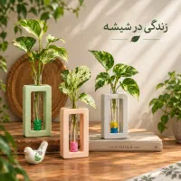 گلجا سنگ مصنوعی همراه با گل پتوس