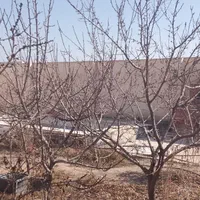 زمین باغچه سندتک برگ با بناسهیلیه زعفرانیه کردان|فروش زمین و ملک کلنگی|کرج, فاز ۴ مهرشهر|دیوار