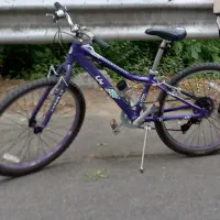 دوچرخه لیو (جاینت دخترانه) سایز بیست و چهار