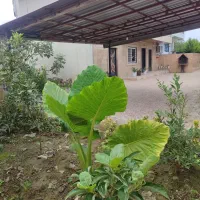 اجاره ویلا نوساز تکخواب تروتمیز|اجارهٔ کوتاهمدت ویلا و باغ|چالوس, |دیوار