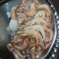 میگو مطاف فقط سایز بزرگ ارسال به سراسر کشور