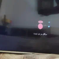 تلویزیون49 ال جی|تلویزیون و پروژکتور|آبیک, |دیوار