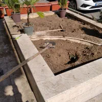 خدمات باغبانی طبیعت|خدمات باغبانی و درختکاری|قم, امامزاده ابراهیم|دیوار