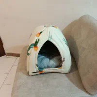 لانه سگ و گربه