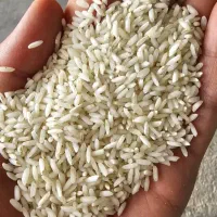 برنج عنبر بو و نیم دانه|خوردنی و آشامیدنی|شوشتر, |دیوار