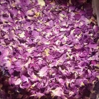 گل بنفشه خشک خالص آویشن خالص کمادون گل ختمی و...|خوردنی و آشامیدنی|کاشان, دروازه فین|دیوار