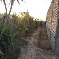 باغ ویلا خوش‌نقشه با استخر ، ۱۷۵ متری در خالدآباد|فروش زمین و ملک کلنگی|شیراز, داریون|دیوار