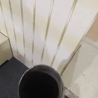 اگزوز پراید سالم