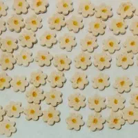 فروش انواع قند رنگی و تزیینی و گیاهی|خوردنی و آشامیدنی|قم, طلاب غیر ایرانی|دیوار