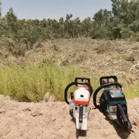 چوب بری و هرس درخت با اره برقی