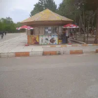 ویزیتور خانم