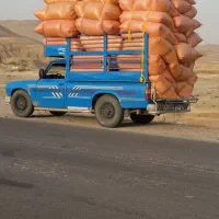 کاه