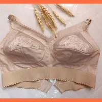 لباس زیر|لباس|شهرکرد, |دیوار