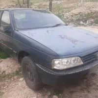 پژواردی پلم