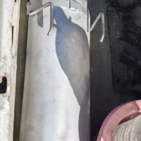 اگزوز بلوچی