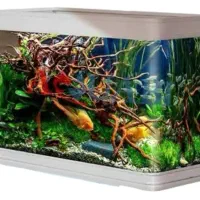 آکواریوم قابدار دلسا مدل gl-800