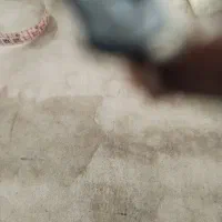 چک پیدا شده