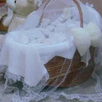 کریر حصیری و پایه بازی نوزاد