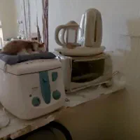 فروش سرخ کن وتستر وچای ساز جنس خوب