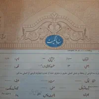 فروش-باغ-در-کلاته-خواجه-علی