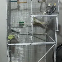 قفس پرنده عروس هلندی فنچ