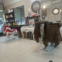 صندلی برقی ودکور سالن