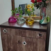 جاکفشی سالم