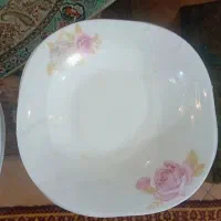 آرکوپال|ظروف سرو و پذیرایی|تهران, پرستار|دیوار