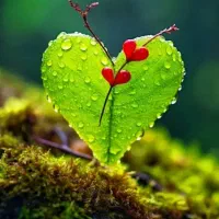 منشی برای شرکت حمل ونقل