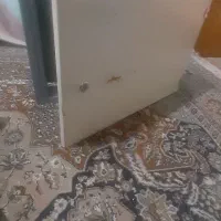 برقی|سایر لوازم برقی|کرج, کیانمهر|دیوار