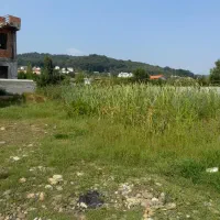 زمین داخل بافت شهرکی،بابلکنار روستاگونه کلا|فروش زمین و ملک کلنگی|مرزیکلا, |دیوار