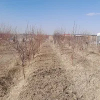2-هکتار-ملک-کشاورزی