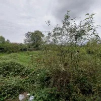 زمین ۲۱۴ متر مسکونی فروش فوری (شکاری) احمدگوراب|فروش زمین و ملک کلنگی|رشت, احمد گوراب|دیوار