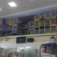 بزرگترین پت شاپ و قصر پرنده در سمنان|پرنده|سمنان, |دیوار