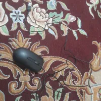 موس|قطعات و لوازم جانبی رایانه|اردبیل, |دیوار