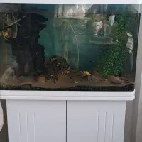 آکواریوم دلسا k580 با کلیه لوازم