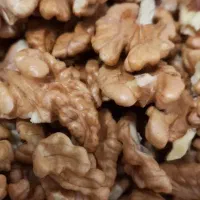 مغز گردو|خوردنی و آشامیدنی|باسمنج, |دیوار